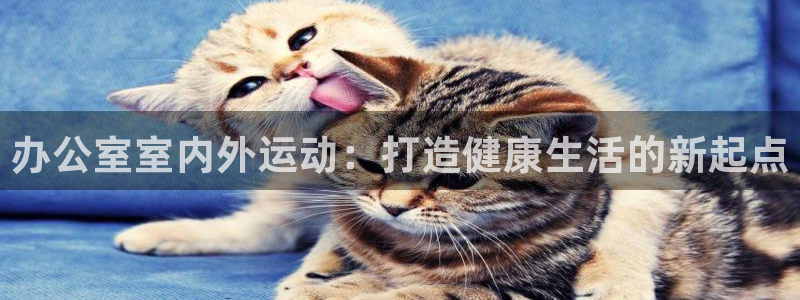 注册世界杯：办公室室内外运动：打造健康生活的新起点