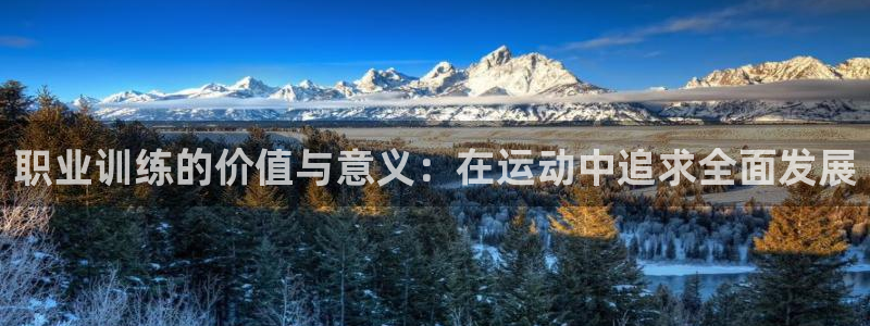 k1体育十年品牌官网：职业训练的价值与意义：在运动中追求全面发展