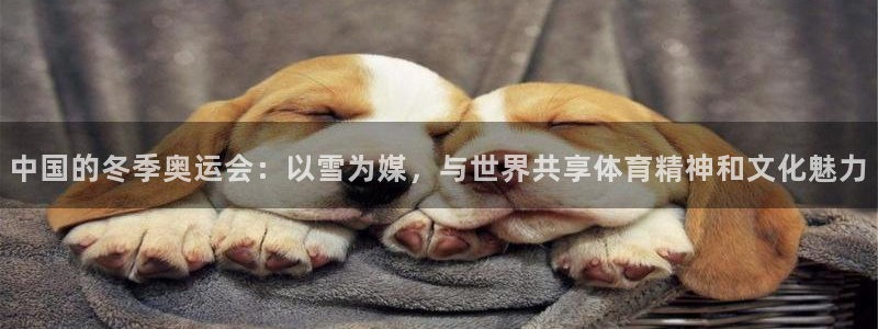 k1体育十年登录入口：中国的冬季奥运会：以雪为媒，与世界共享体育精神和文化魅力